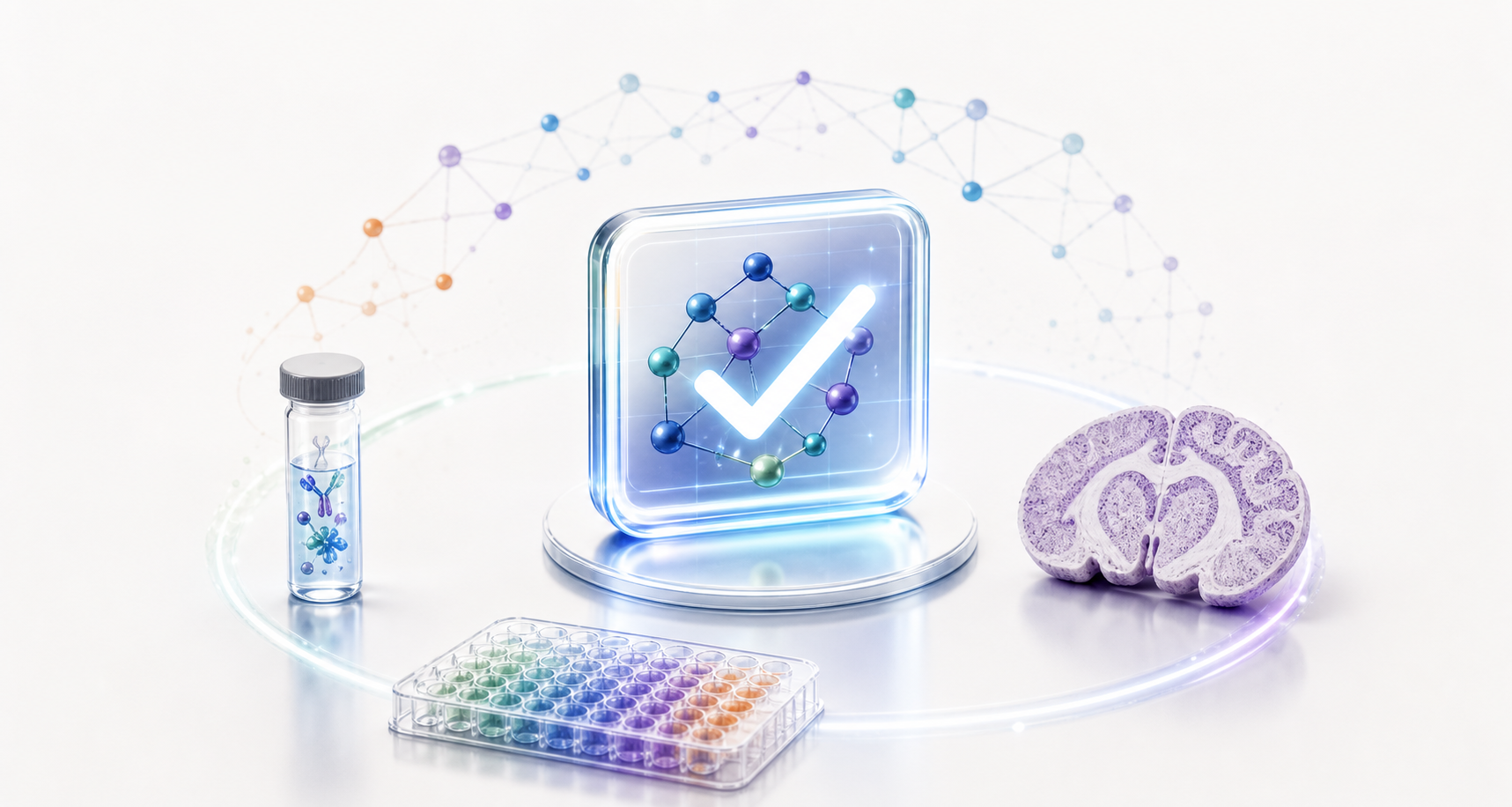 Design the experiment that can disprove it
